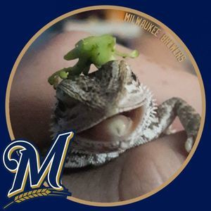 Meet your Posher, Avery